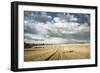 Baled Field, Gloucestershire, England, United Kingdom, Europe-John Alexander-Framed Photographic Print