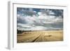 Baled Field, Gloucestershire, England, United Kingdom, Europe-John Alexander-Framed Photographic Print