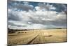 Baled Field, Gloucestershire, England, United Kingdom, Europe-John Alexander-Mounted Photographic Print