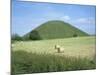 Baled Hay in Field Below Silbury Hill, Wiltshire, England, United Kingdom-David Hunter-Mounted Photographic Print