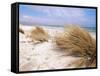 Bales Beach, Seal Bay Con. Park, Kangaroo Island, South Australia, Australia-Neale Clarke-Framed Stretched Canvas