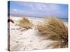 Bales Beach, Seal Bay Con. Park, Kangaroo Island, South Australia, Australia-Neale Clarke-Stretched Canvas