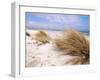 Bales Beach, Seal Bay Con. Park, Kangaroo Island, South Australia, Australia-Neale Clarke-Framed Photographic Print