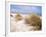 Bales Beach, Seal Bay Con. Park, Kangaroo Island, South Australia, Australia-Neale Clarke-Framed Photographic Print