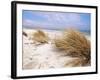 Bales Beach, Seal Bay Con. Park, Kangaroo Island, South Australia, Australia-Neale Clarke-Framed Photographic Print