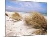Bales Beach, Seal Bay Con. Park, Kangaroo Island, South Australia, Australia-Neale Clarke-Mounted Photographic Print
