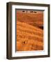 Bales in Rolling Fields-Bob Krist-Framed Photographic Print