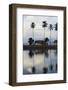 Bali, East Coast, View of Beach with Palm Trees and Hut-Tony Berg-Framed Photographic Print