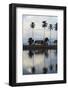 Bali, East Coast, View of Beach with Palm Trees and Hut-Tony Berg-Framed Photographic Print