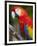 Bali, Ubud, a Greenwing Macaw Poses at Bali Bird Park-Niels Van Gijn-Framed Premium Photographic Print