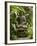 Bali, Ubud, a Statue of buddha Sits Serenely in Gardens-Niels Van Gijn-Framed Photographic Print