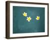 Bali, Ubud, Franjipani Flowers Float on a Swimming Pool-Niels Van Gijn-Framed Photographic Print