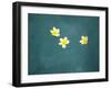 Bali, Ubud, Franjipani Flowers Float on a Swimming Pool-Niels Van Gijn-Framed Photographic Print