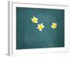 Bali, Ubud, Franjipani Flowers Float on a Swimming Pool-Niels Van Gijn-Framed Photographic Print