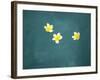 Bali, Ubud, Franjipani Flowers Float on a Swimming Pool-Niels Van Gijn-Framed Photographic Print