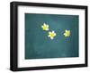 Bali, Ubud, Franjipani Flowers Float on a Swimming Pool-Niels Van Gijn-Framed Photographic Print