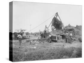 Baling Hay Near Prosser, WA, Circa 1914-B.P. Lawrence-Stretched Canvas