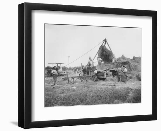 Baling Hay Near Prosser, WA, Circa 1914-B.P. Lawrence-Framed Giclee Print