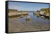Balintoy harbour, near Giant's Causeway, County Antrim, Ulster, Northern Ireland, United Kingdom, E-Nigel Hicks-Framed Stretched Canvas