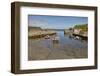 Balintoy harbour, near Giant's Causeway, County Antrim, Ulster, Northern Ireland, United Kingdom, E-Nigel Hicks-Framed Photographic Print