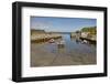 Balintoy harbour, near Giant's Causeway, County Antrim, Ulster, Northern Ireland, United Kingdom, E-Nigel Hicks-Framed Photographic Print