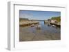 Balintoy harbour, near Giant's Causeway, County Antrim, Ulster, Northern Ireland, United Kingdom, E-Nigel Hicks-Framed Photographic Print