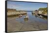 Balintoy harbour, near Giant's Causeway, County Antrim, Ulster, Northern Ireland, United Kingdom, E-Nigel Hicks-Framed Stretched Canvas