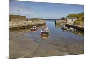 Balintoy harbour, near Giant's Causeway, County Antrim, Ulster, Northern Ireland, United Kingdom, E-Nigel Hicks-Mounted Photographic Print