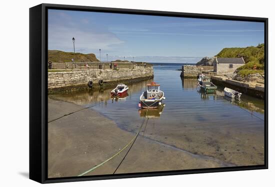 Balintoy harbour, near Giant's Causeway, County Antrim, Ulster, Northern Ireland, United Kingdom, E-Nigel Hicks-Framed Stretched Canvas