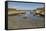 Balintoy harbour, near Giant's Causeway, County Antrim, Ulster, Northern Ireland, United Kingdom, E-Nigel Hicks-Framed Stretched Canvas