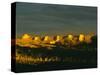 Balkh, Afghanistan-Kenneth Garrett-Stretched Canvas