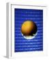 Ball Against Racquet-null-Framed Photographic Print