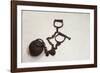 Ball and Chain Shackles, Oro Grande, California, Route 66-Julien McRoberts-Framed Photographic Print