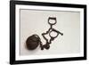 Ball and Chain Shackles, Oro Grande, California, Route 66-Julien McRoberts-Framed Photographic Print