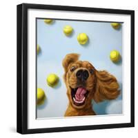 Ball Boy-Lucia Heffernan-Framed Art Print