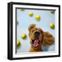 Ball Boy-Lucia Heffernan-Framed Art Print