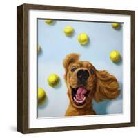 Ball Boy-Lucia Heffernan-Framed Art Print