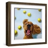 Ball Boy-Lucia Heffernan-Framed Art Print