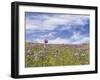 Ball Head Cluster Lily-Donald Paulson-Framed Giclee Print