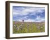 Ball Head Cluster Lily-Donald Paulson-Framed Giclee Print