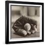 Ball in Mitt-Judy B^ Messer-Framed Art Print