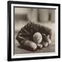 Ball in Mitt-Judy B^ Messer-Framed Art Print