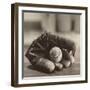 Ball in Mitt-Judy B^ Messer-Framed Art Print