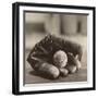 Ball in Mitt-Judy B^ Messer-Framed Art Print