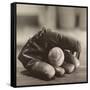 Ball in Mitt-Judy B^ Messer-Framed Stretched Canvas