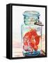 Ball Jar Ideal Peppers-Jennifer Redstreake Geary-Framed Stretched Canvas