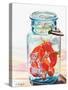 Ball Jar Ideal Peppers-Jennifer Redstreake Geary-Stretched Canvas