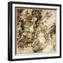 Ballad, Cockerslee-Arthur Rackham-Framed Art Print