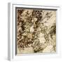 Ballad, Cockerslee-Arthur Rackham-Framed Art Print