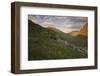 Ballaghbeama Gap, County Kerry, Munster, Republic of Ireland, Europe-Carsten Krieger-Framed Photographic Print